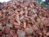 red_gum_1_1.jpg
