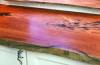 red_gum_6_1.jpg